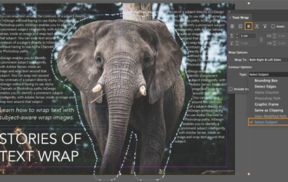 Adobe InDesign Training Noida