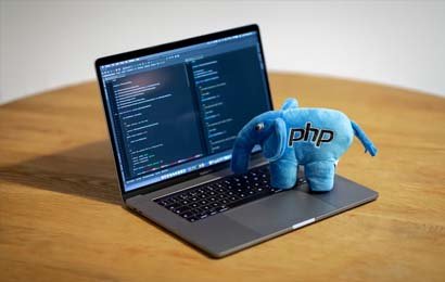 PHP Industrial Training