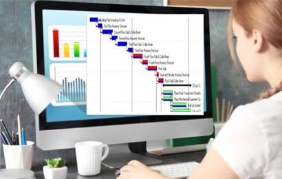 Primavera Project Planning Training Noida