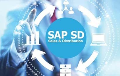ERP-SAP-SD Training Noida