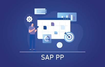 ERP-SAP-PP