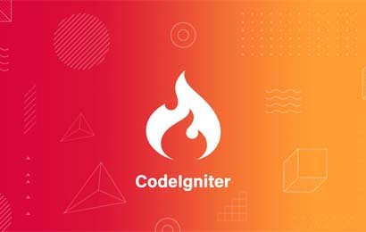 Codeigniter Training Noida